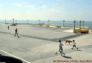 0767 - De Matosinhos a Porto